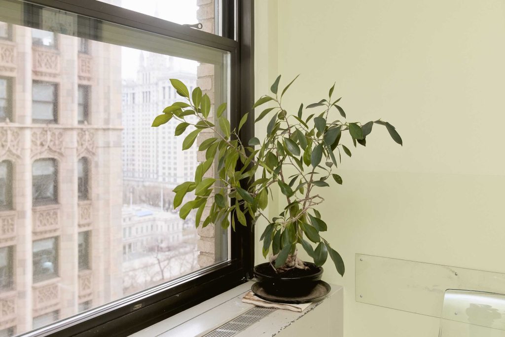 psychiatry and therapy centre